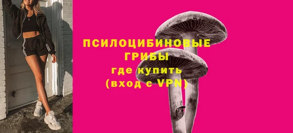 2c-b Белокуриха
