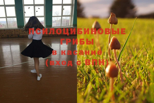 прущие крисы Строитель
