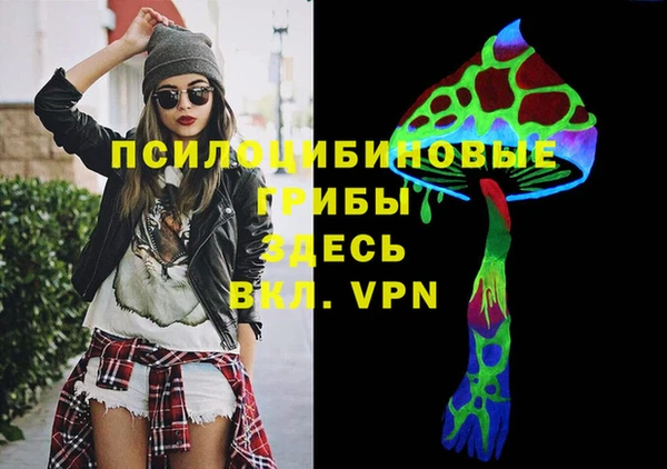 2c-b Белокуриха