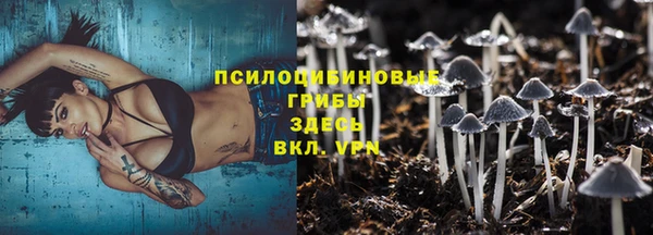 2c-b Белокуриха