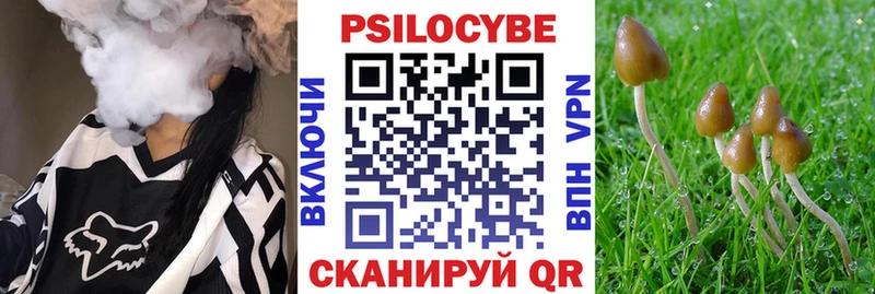 Галлюциногенные грибы MAGIC MUSHROOMS Горняк